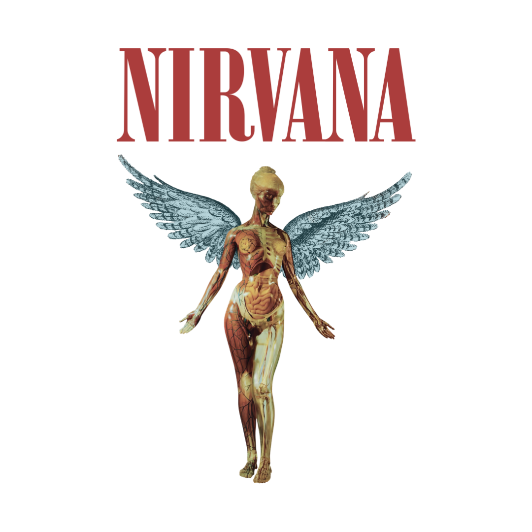 Nirvana Angel Transfer