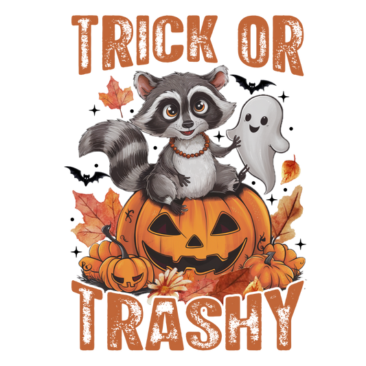 Raccoon Transfer