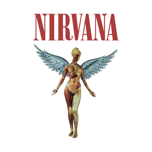 Nirvana Angel Transfer
