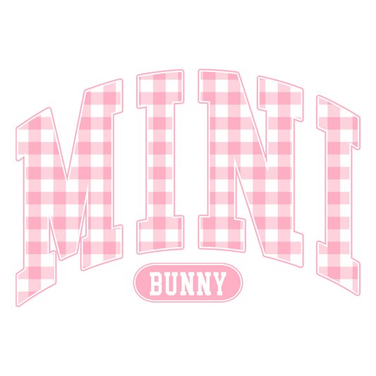 Mini Transfer