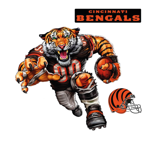 Cincinnati Bengals 2